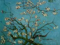 ゴッホの花が咲くアーモンドの木の枝